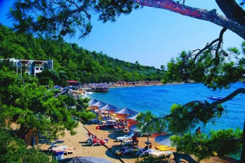 Travel along the coastal road with Bodrum Yalıçiftlik Car Rental, accompanied by scenic views. Yalıçiftlik car rental service offers a pleasant drive along the coastal road, a turquoise sea view, and a comfortable transportation experience for holidaymake